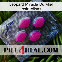 Léopard Miracle Du Miel Instructions 02